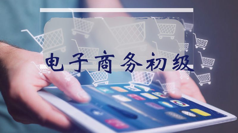 欧洲站代运营品牌代理：揭秘品牌入局欧洲电商的关键步骤**