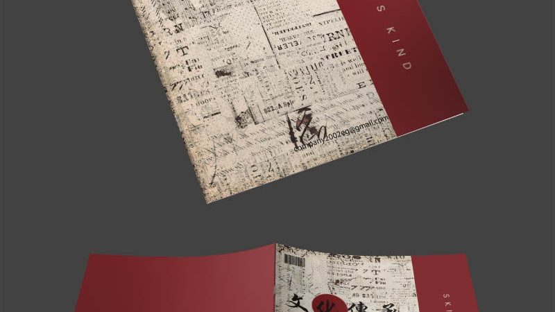 欧洲站与北美站：代运营与选品差异解析