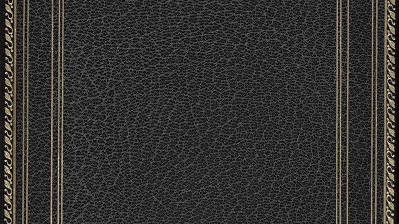 Shopify域名绑定到子域名：操作步骤与注意事项